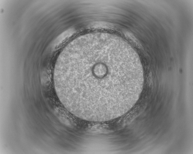 X0000087680824200705251641