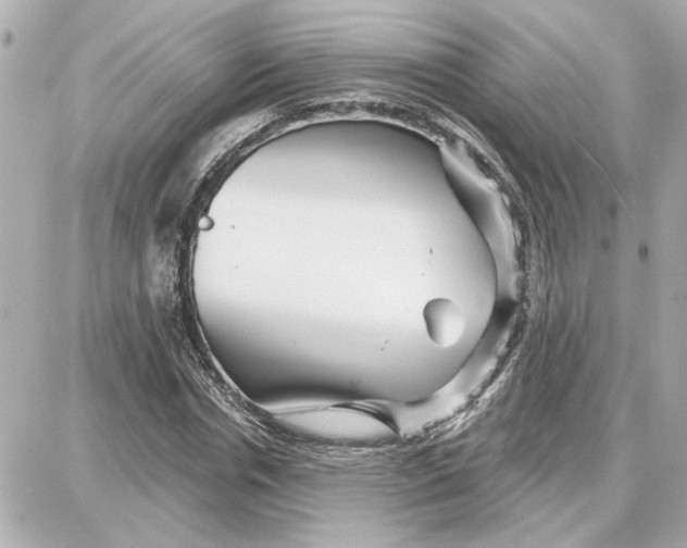 X0000087680826200705251641