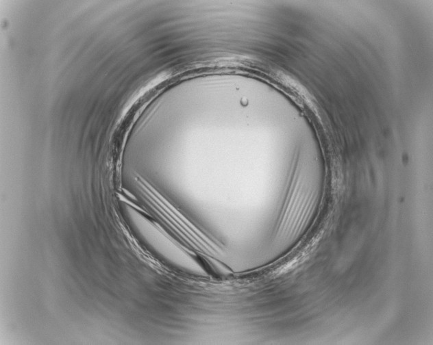 X0000087680827200705251641