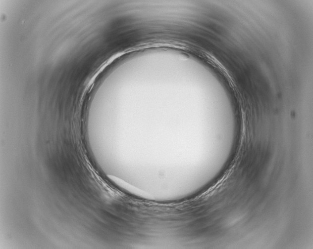 X0000087680828200705251641