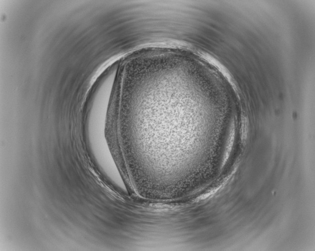 X0000087680829200705251641