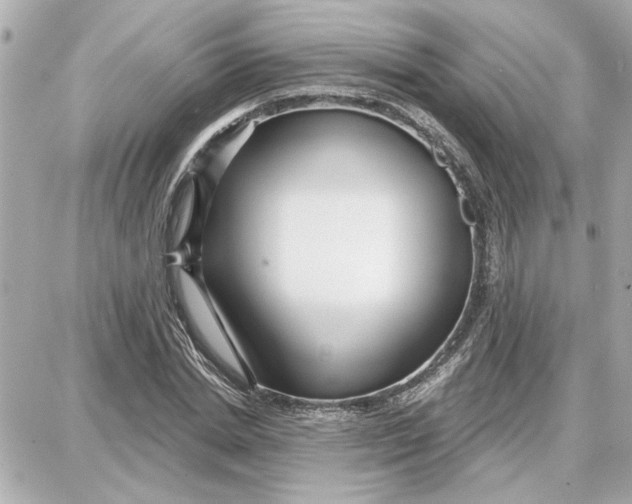 X0000087680830200705251641