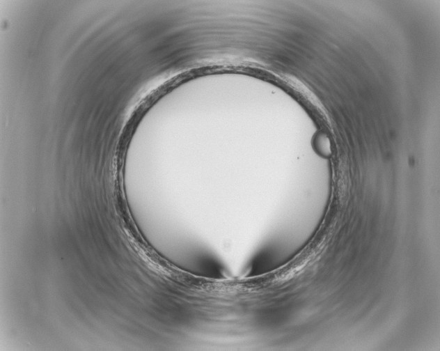 X0000087680831200705251641