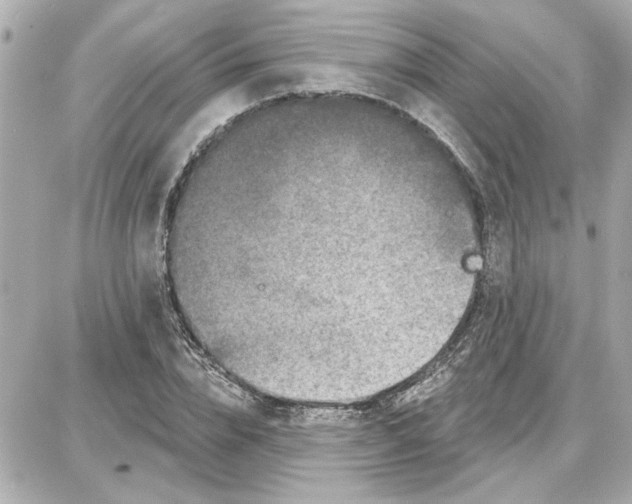 X0000087680832200705251641