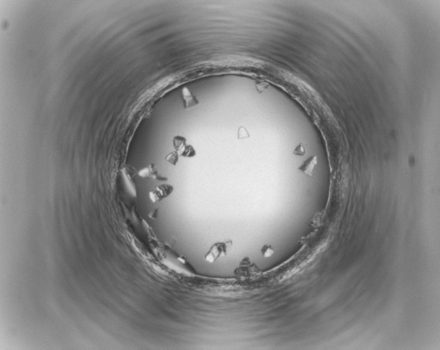 X0000087680833200705251641