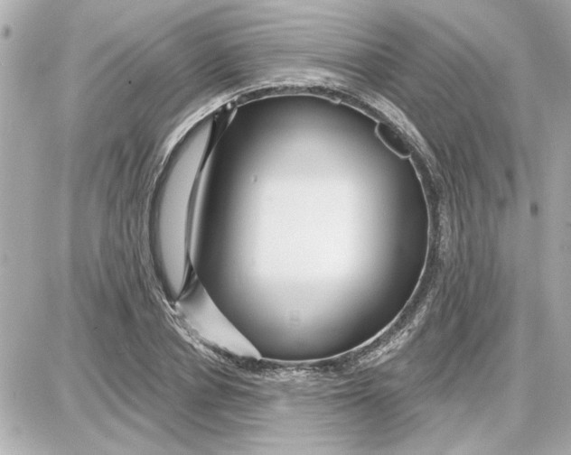 X0000087680834200705251641