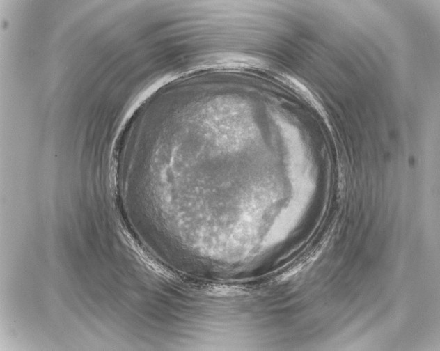 X0000087680835200705251642