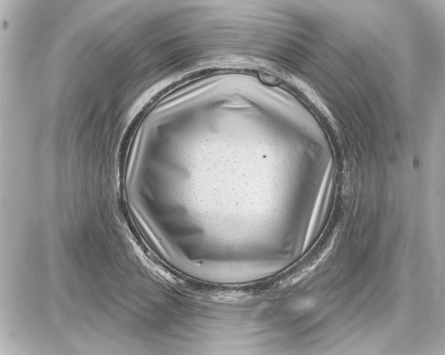 X0000087680837200705251642