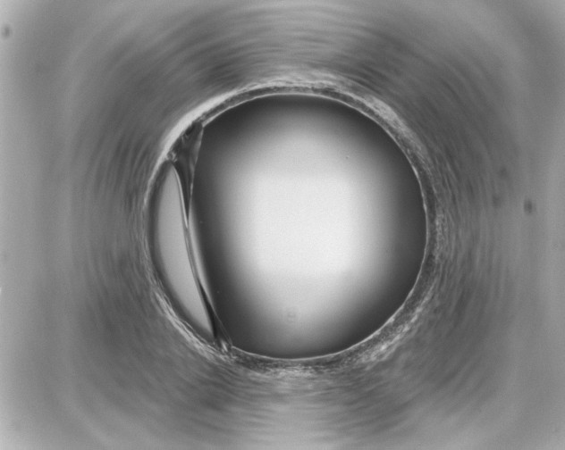 X0000087680838200705251642