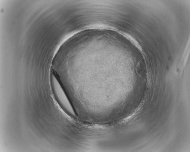 X0000087680839200705251642