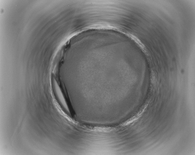 X0000087680840200705251642