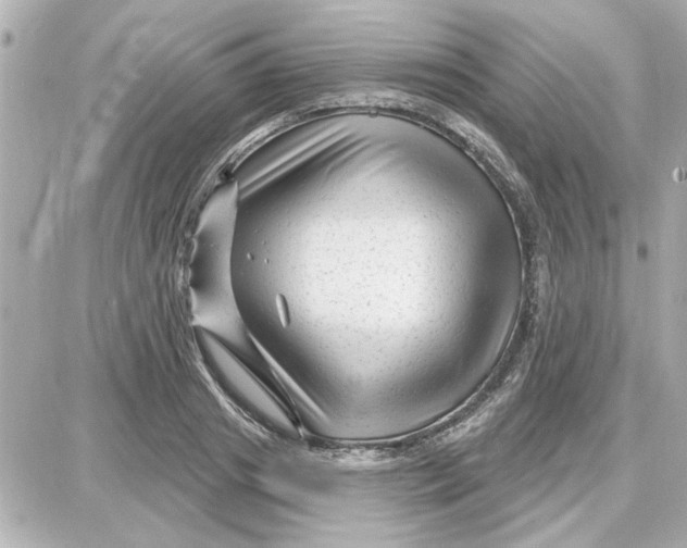 X0000087680841200705251642