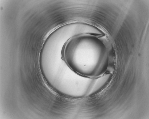 X0000087680842200705251642