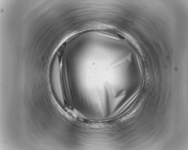 X0000087680843200705251642