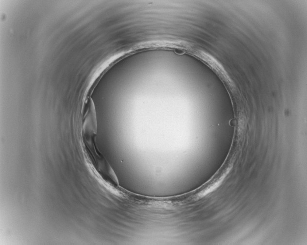 X0000087680844200705251642