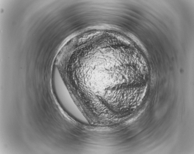 X0000087680845200705251642