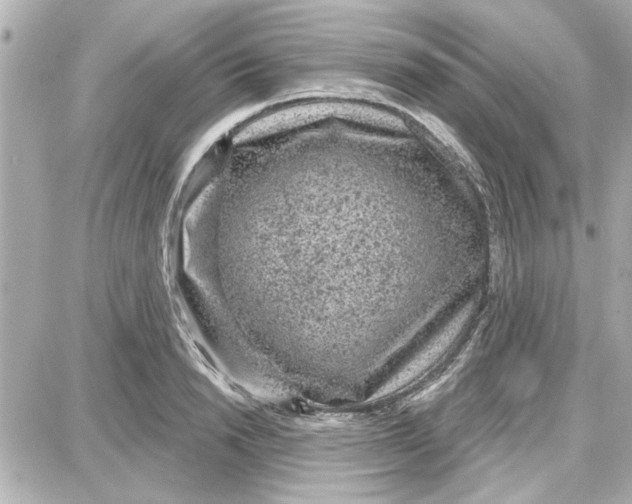 X0000087680846200705251642