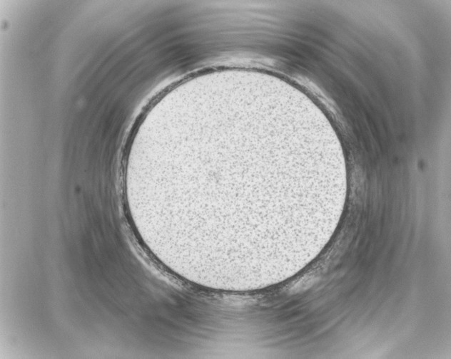 X0000087680848200705251642