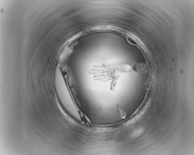 X0000087680849200705251642