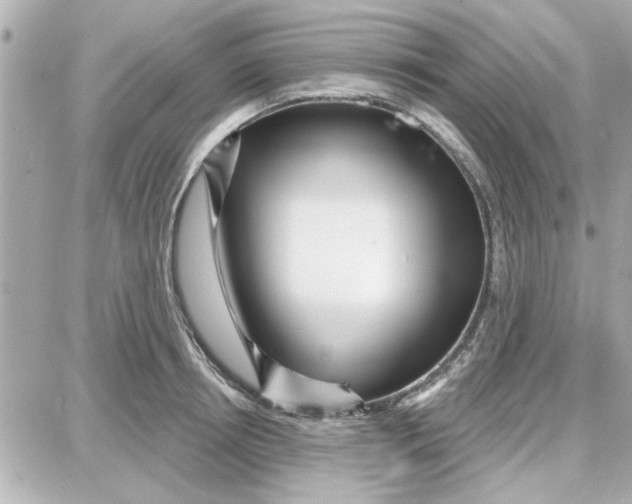 X0000087680850200705251642