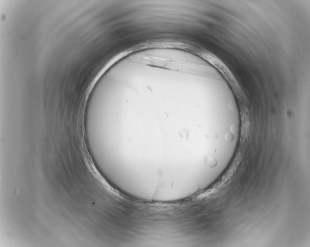 X0000087680852200705251642