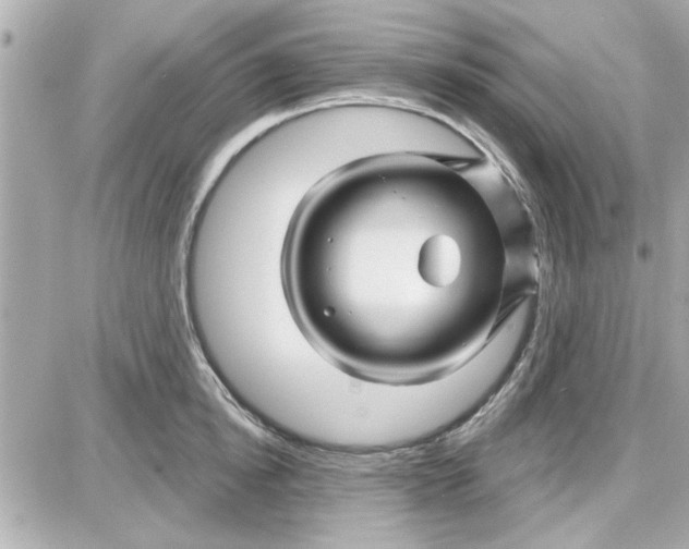 X0000087680854200705251642