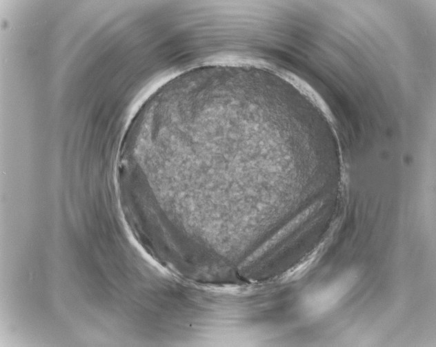 X0000087680855200705251642