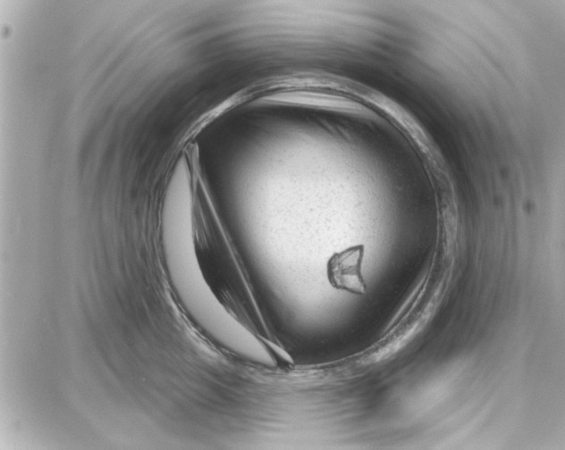 X0000087680857200705251642