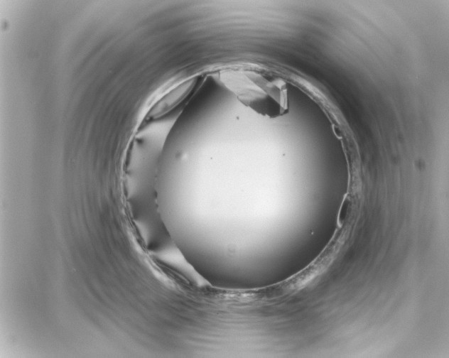 X0000087680858200705251642