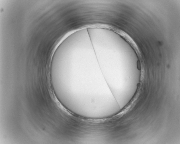 X0000087680860200705251642