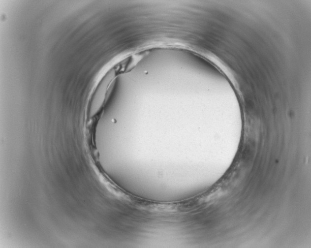 X0000087680861200705251642