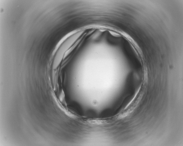 X0000087680862200705251642