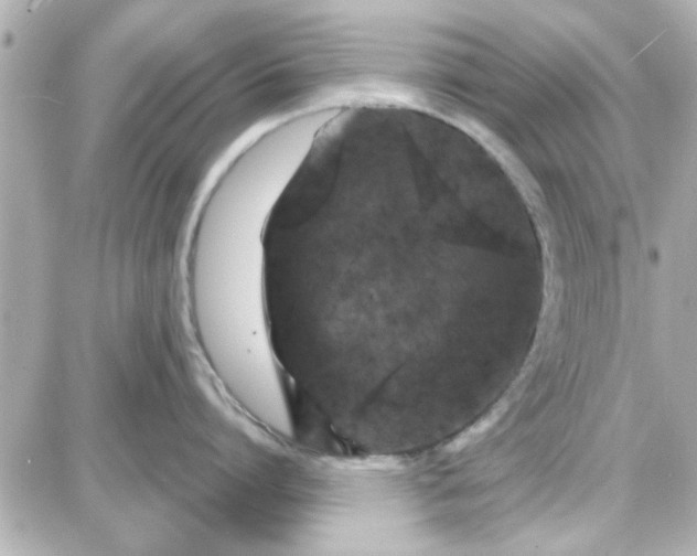 X0000087680864200705251642