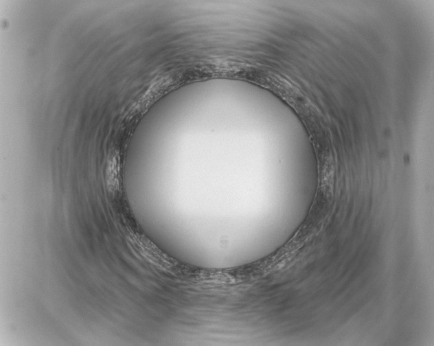 X0000087680866200705251641