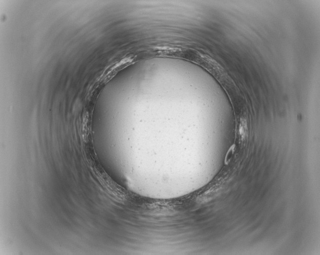 X0000087680867200705251641