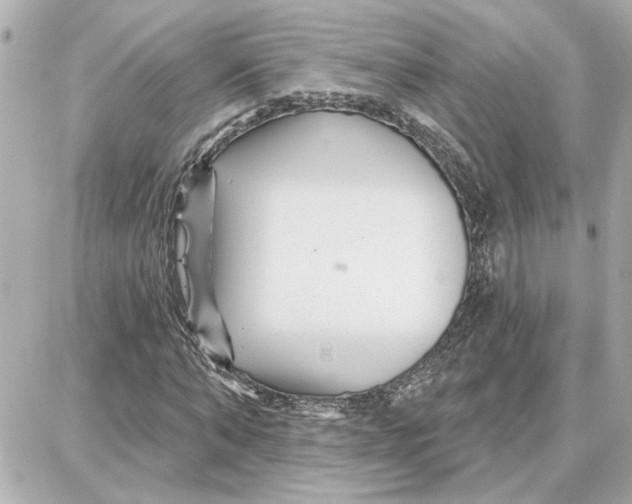 X0000087680870200705251641