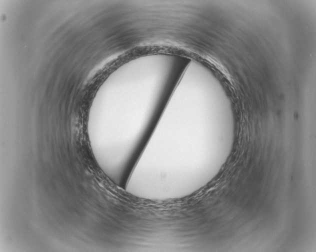 X0000087680872200705251641