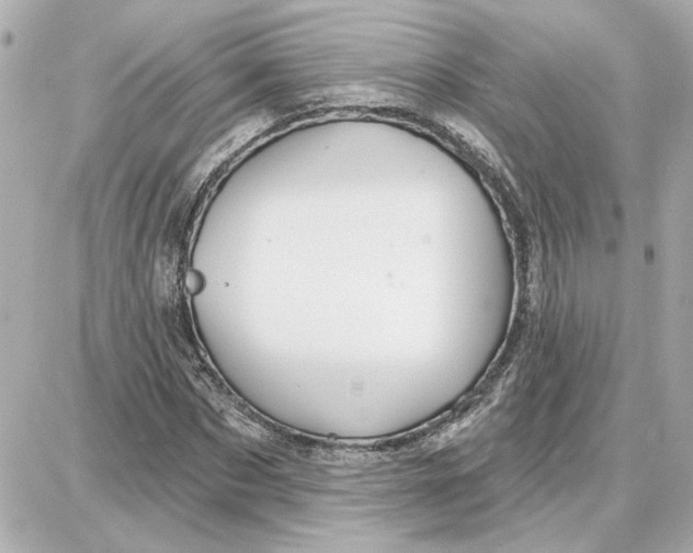 X0000087680873200705251641