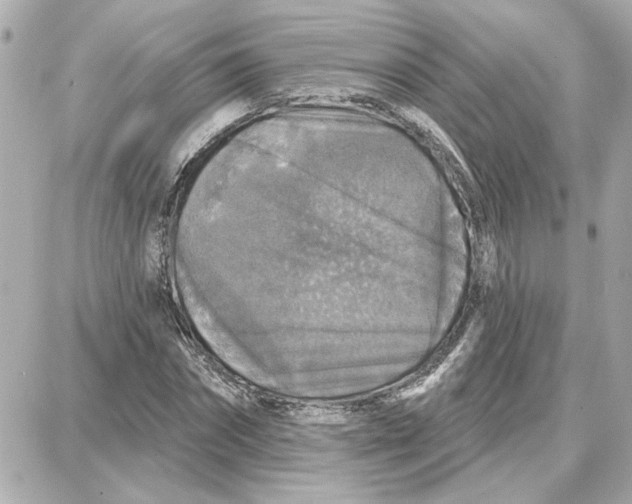 X0000087680874200705251641