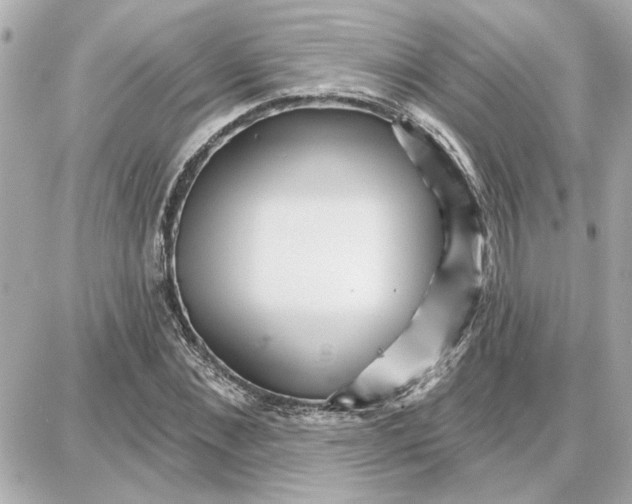 X0000087680876200705251641