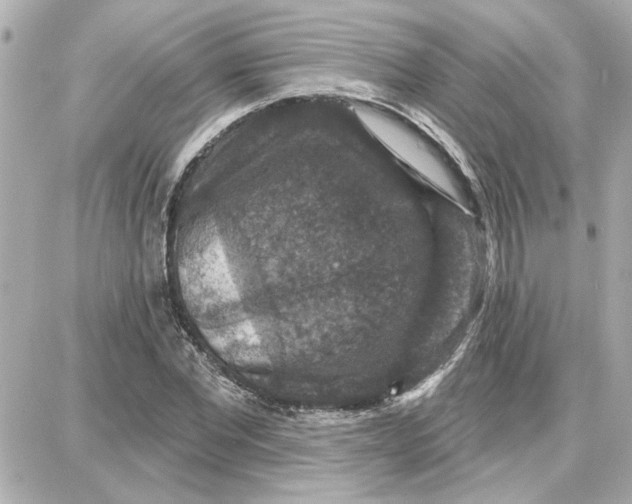 X0000087680877200705251641