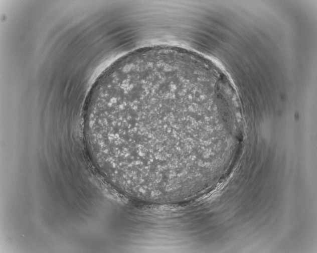 X0000087680879200705251641