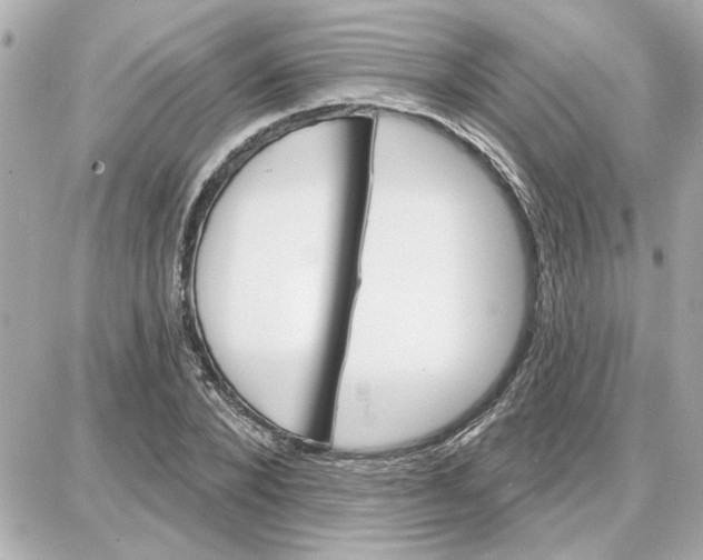 X0000087680880200705251641