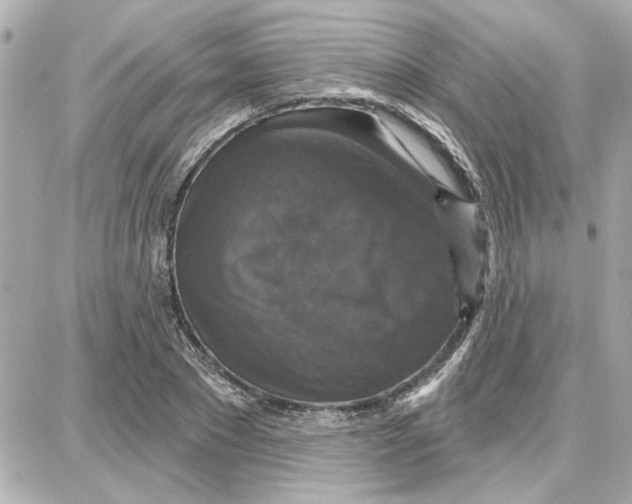 X0000087680881200705251641