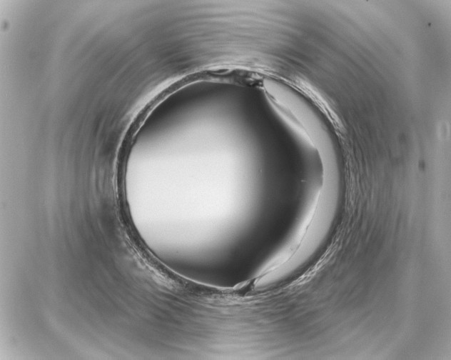 X0000087680884200705251641