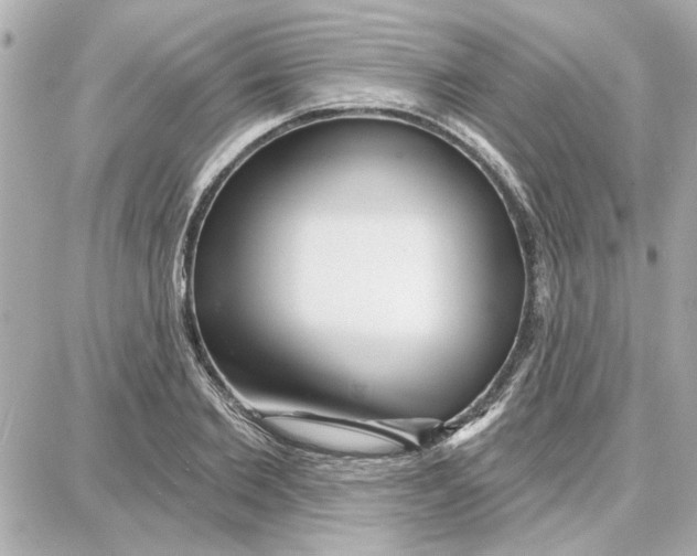 X0000087680885200705251641