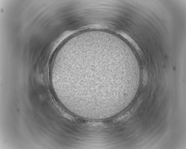 X0000087680886200705251641