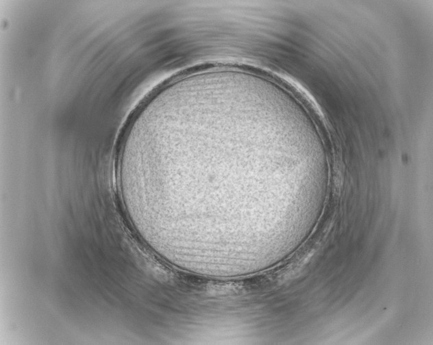 X0000087680887200705251641