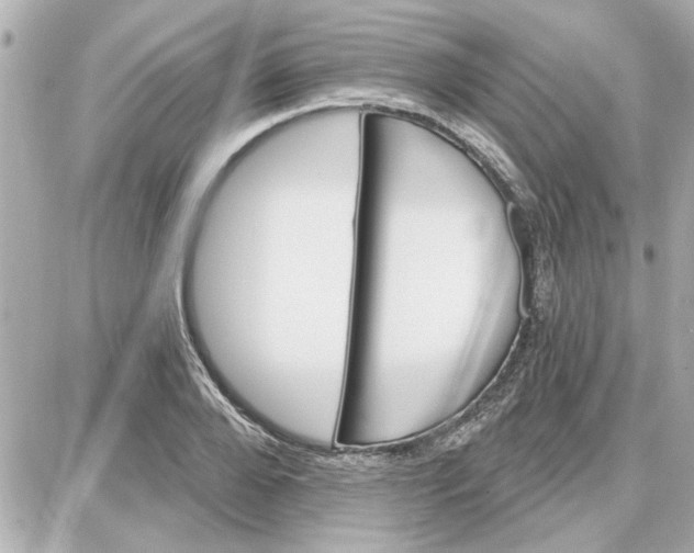 X0000087680888200705251641