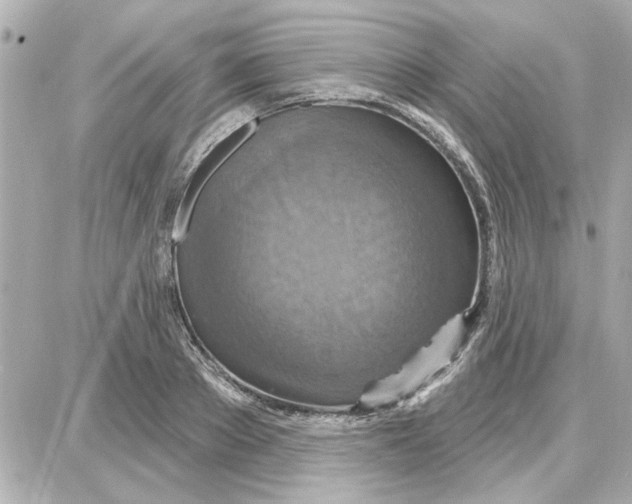 X0000087680889200705251641